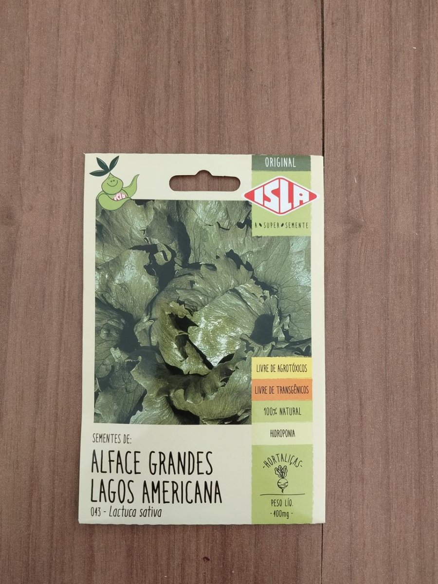 Alface Grandes Lagos Americana