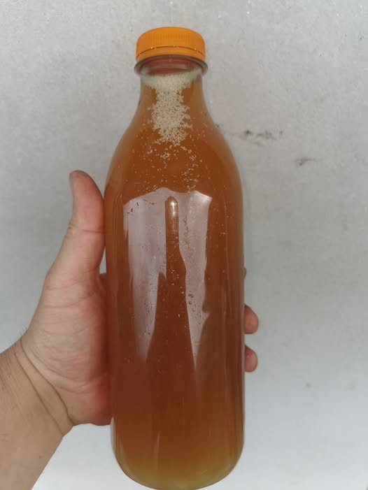 FERTILIZANTE LIQUIDO NATURAL de FLORAÇÂO