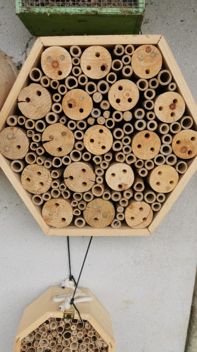 Colmeia GIGANTE para abelhas polinizadoras sem ferrão (Hotel de Insectos)