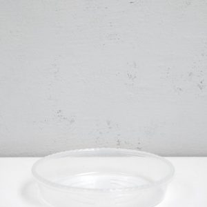 PlantScraper Prato 19cm