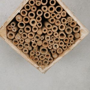 Colmeia MEDIA quadrada para abelhas polinizadoras sem ferrão (Hotel de Insectos)