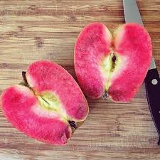 Macieira da maçã de SANGUE PÉROLA ROSA🍏🩸🇺🇸