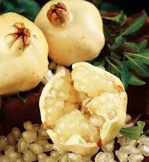 Romãzeira da Romã Branca🍅🤍🇯🇵